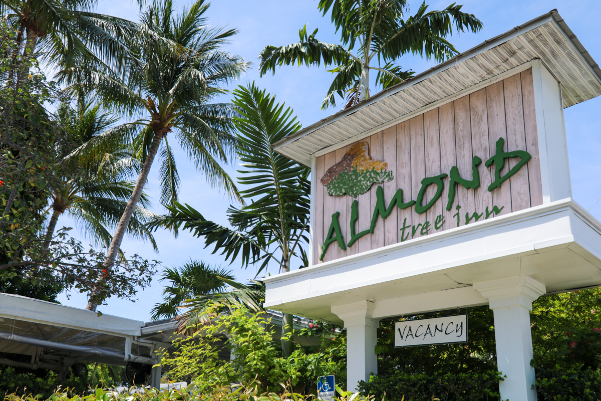 Almond Tree Inn - Adults Only