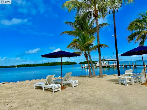 Coconut Palm Inn