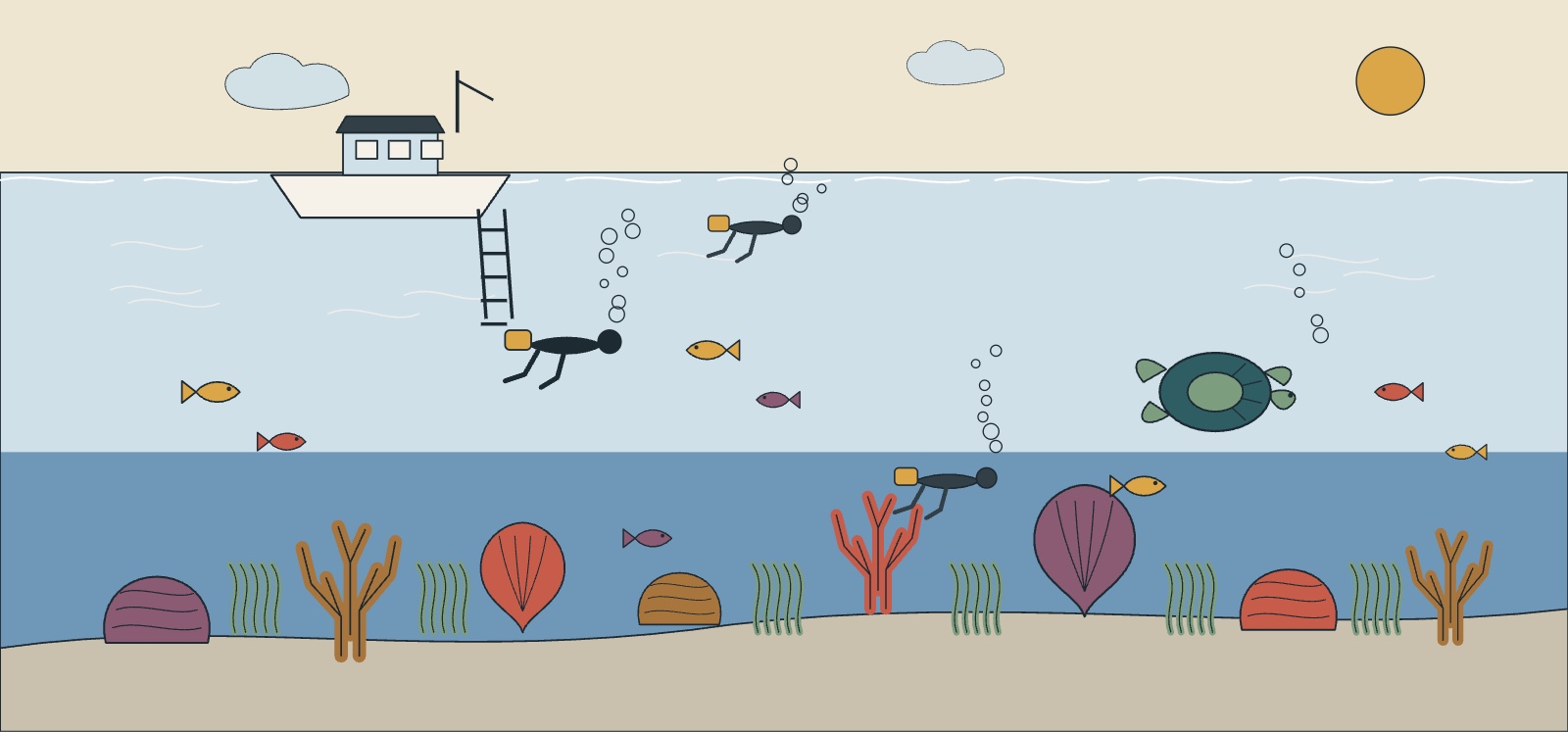 A dive boat above the reef off Key Largo with coral, a turtle and divers