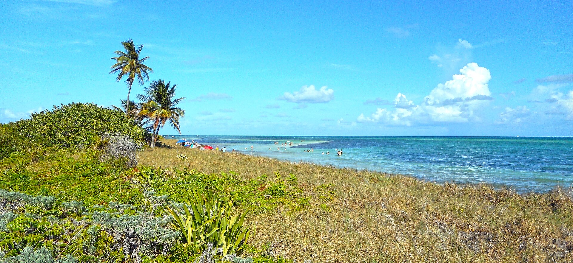 The beach at Bahia Honda State Park with palm trees and shallow turquoise water